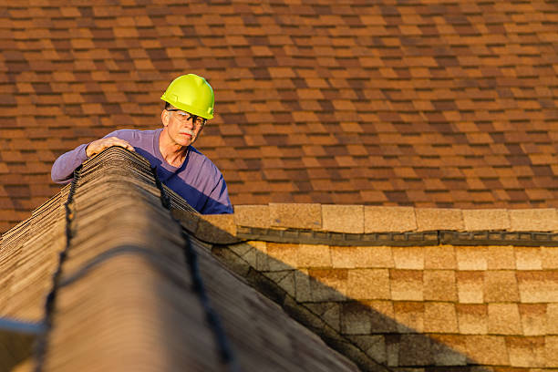 Best Roof Repair Services  in Springville, IA