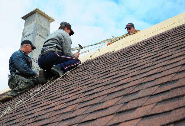 Best Best Roofing Contractors  in Springville, IA