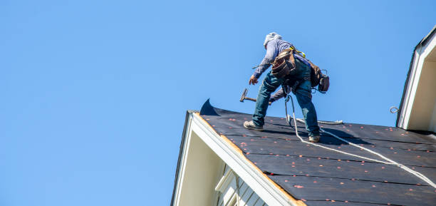Best Residential Roof Replacement  in Springville, IA